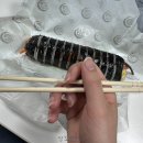 윤가네김밥 이미지