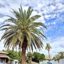 바다빌리지 관광펜션 이미지