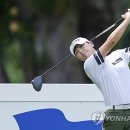 (주)서린골프 이미지