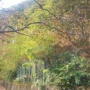 구산면578 이미지