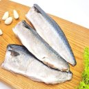 생선 쇼핑하우
