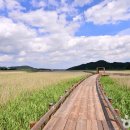 벌교생태공원 이미지