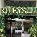 해피덕 | [밴쿠버 다운타운 해피아워 추천 🇨🇦] Riley’s Fish &amp; Steak 가성비 솔직후기