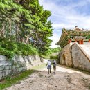 산성가축 이미지