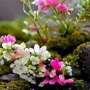 행복행정사 이미지