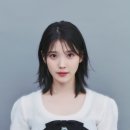 법무법인신원 - 서초구 서초대로48길 33 | 법무법인신원