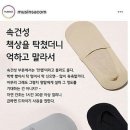 탈