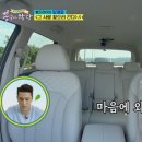 타고나스포츠아카데미사직