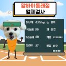 동래유치원 네이버블로그