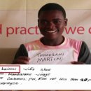 샤이니태양광 이미지