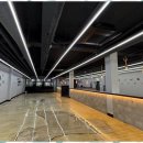 제주네 애견유치원 이미지