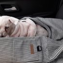 서원해장국 이미지