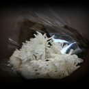 진황도로 61길 이미지