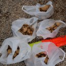 그린팜스테이 이미지