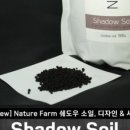 소일소일