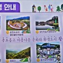 상수청정