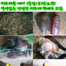 서해판매 이미지