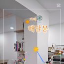 카페해달몽
