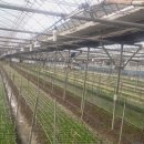 만경농장 이미지