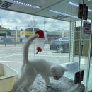 원주대형약국 이미지