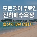 진하해수욕장 | 모든 것이 무료인 울산 진하해수욕장 완전 정복 (2025 최신)