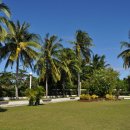 막탄(mactan) 이미지