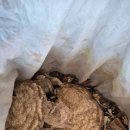 예린음악학원 이미지