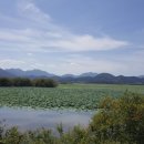 주남저수지 이미지