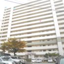 가수원로 이미지