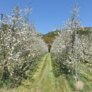 길벗하우스 이미지