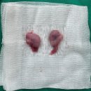 해 동물병원 이미지