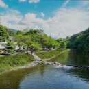 하방소 포레스트 이미지