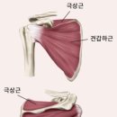 R1 운동과학센터 이미지