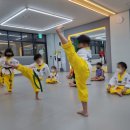 충효태권도(한들물빛관) | 탕정태권도 충효태권도 한들물빛관에서 바른 인성을 배워요!!