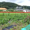 양평엔옥천공인중개사사무소 이미지