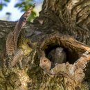 영천시화북면보건지소 이미지