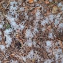 대천농장 이미지