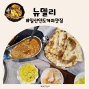 화신로8길1-29 | 화정역 점심 맛집 뉴델리 푸짐한 2인세트 고양 인도음식 맛집 후기