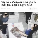 메이플동물병원 이미지