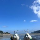 ok펜션 | 풍경도 힐링 되는 공간 청산도 - 청산도 ok펜션 이용후기