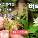 019-3 이미지