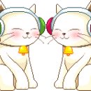 작은새3040