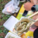 밀양유원지야영장 | 밀양 솔밭만두 / 기회송림 야영장 캠핑장 글램핑장