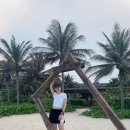 핫여름대비 아이템 아디다스 애틀란타 커트라인 숏 팬츠 블랙 구매후기