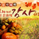 추수감사절을 다시 생각하며... 이미지
