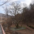 장동 산디마을입구 주차장 이미지