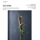코코스플라워 이미지