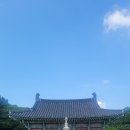 청주고인쇄박물관 | 청주 운천동 고인쇄박물관 방문 후기 (직지·금속활자·체험·직지거리 산책)