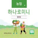 씨유제주월정모살점 이미지