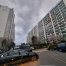 상아부동산공인중개사사무소 이미지